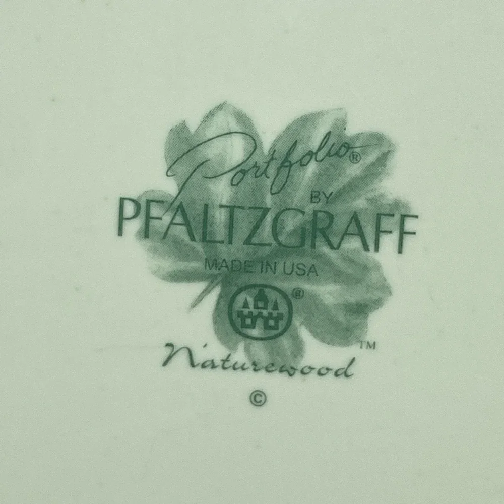 Portfolio Pfaltzgraff Naturewood Dinner Plates 11